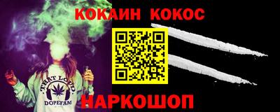 шишки Дубна