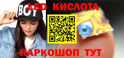 шишки Дубна