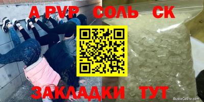 шишки Дубна