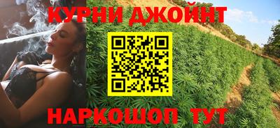шишки Дубна