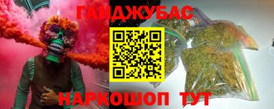 шишки Дубна