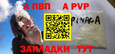 шишки Дубна