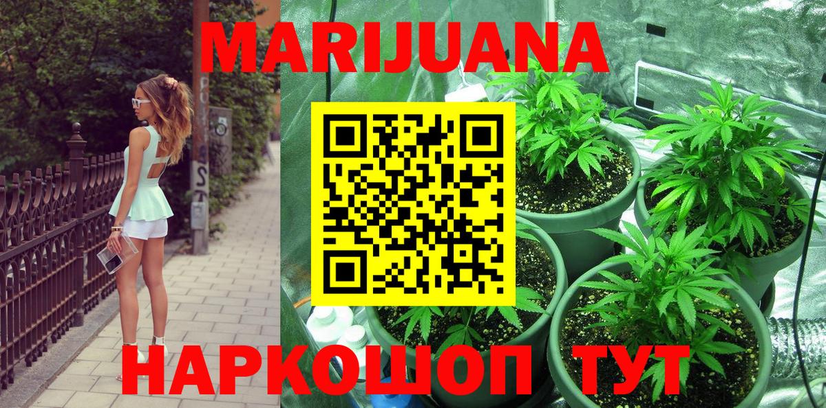 Конопля планчик Калининград